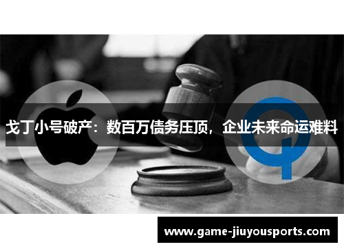 戈丁小号破产：数百万债务压顶，企业未来命运难料