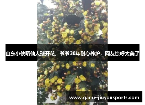 山东小伙晒仙人球开花，爷爷30年耐心养护，网友惊呼太美了